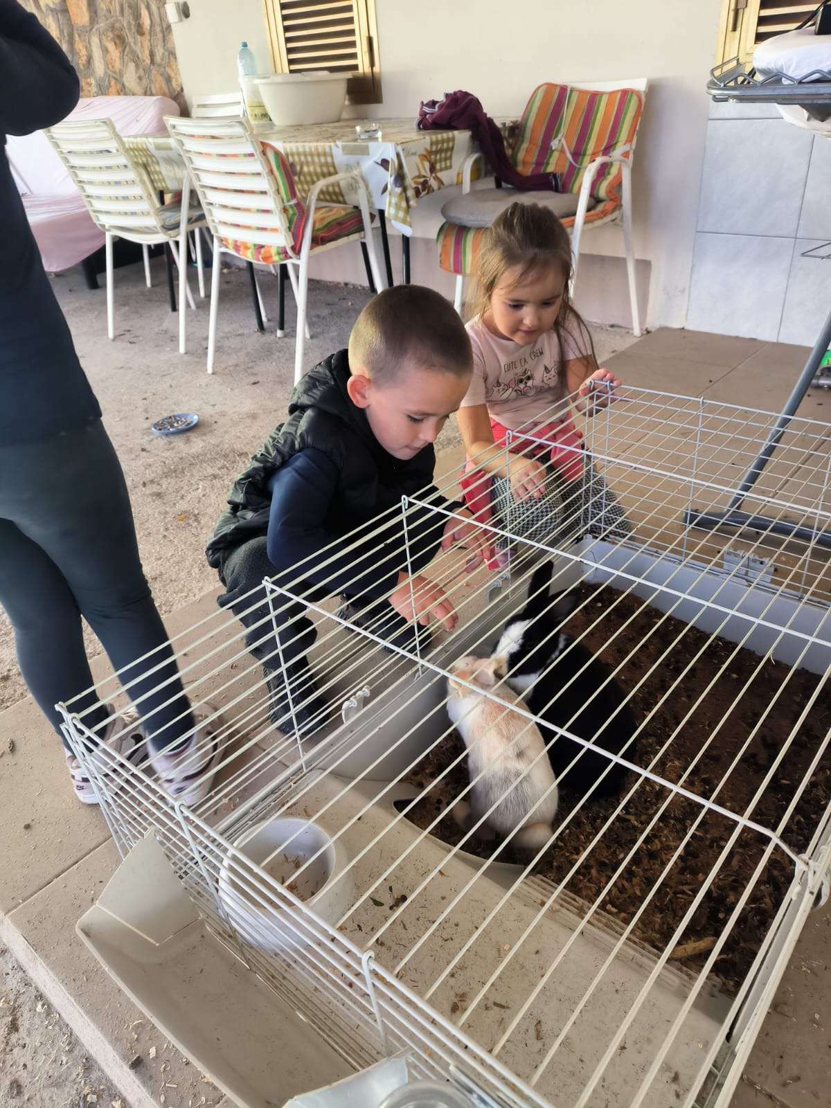 Vrijeme provedeno sa životinjama