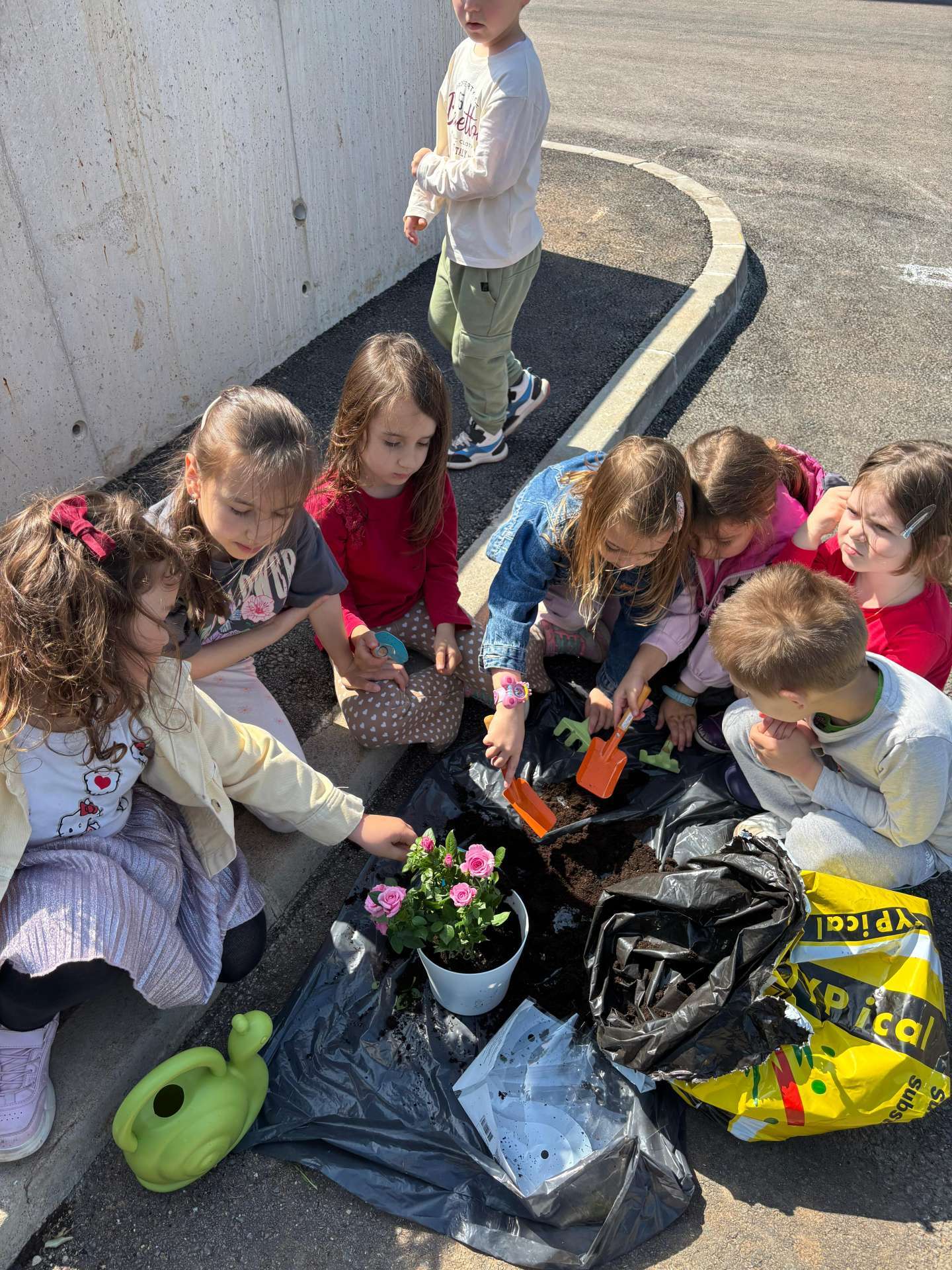 ’Najljepše stvari rastu polako.’’ – Sadnja i uzgoj biljaka tijekom proljetnog razdoblja u Zebricama