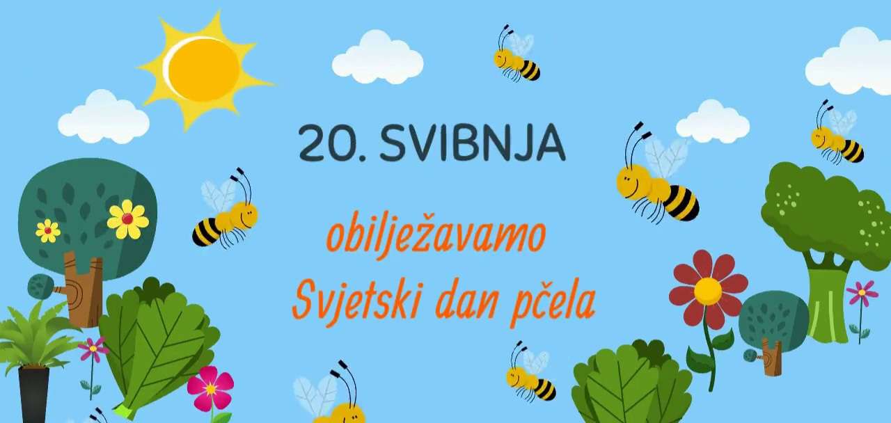 Pčele nas uče da zajedništvo stvara čuda